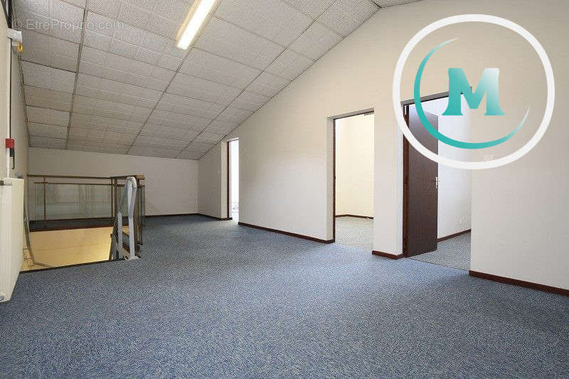 Commerce à MONTAUBAN