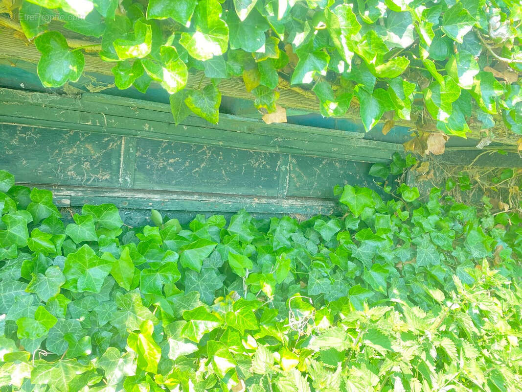 Autre à GUINES