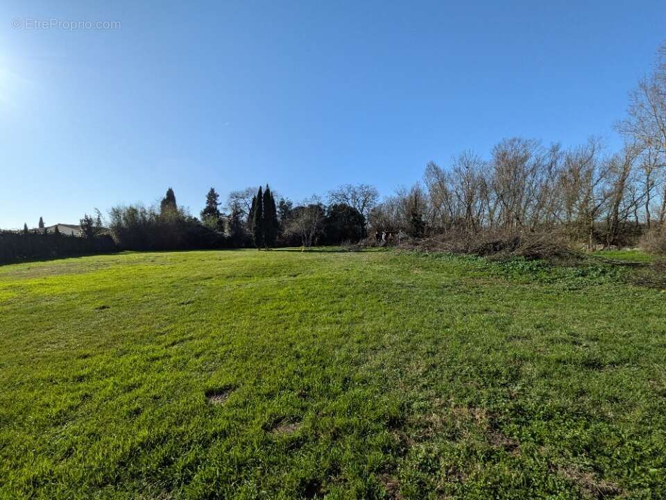 Terrain 600 m² à Cugnaux  - photo 3