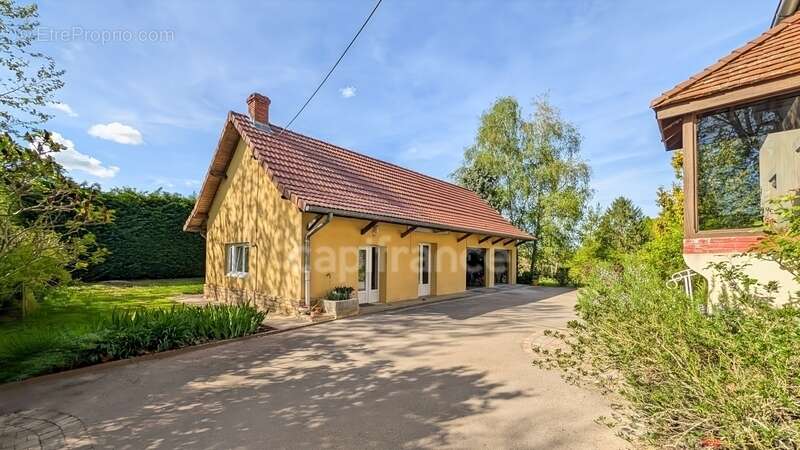 Dpt Saône et Loire (71), à vendre à 15 mn de St Marcel Villa de 163 m² et Maison ou Gite de 95 m² terrain de 4000 m² - photo 2