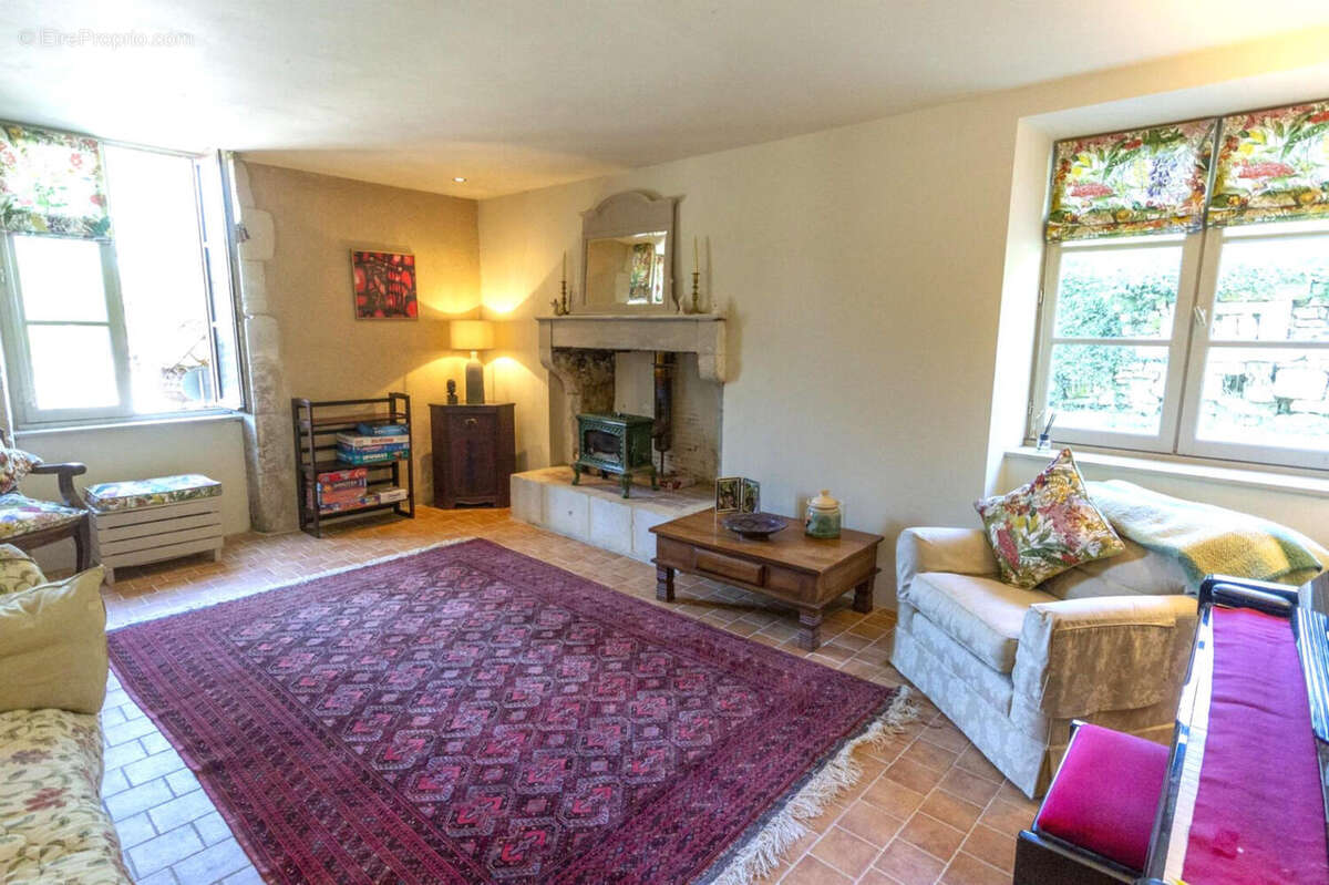 SALON - Maison à SALLES-DE-VILLEFAGNAN