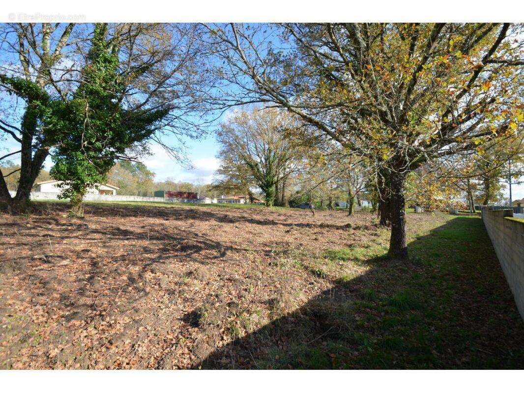 Terrain à PORCHERES