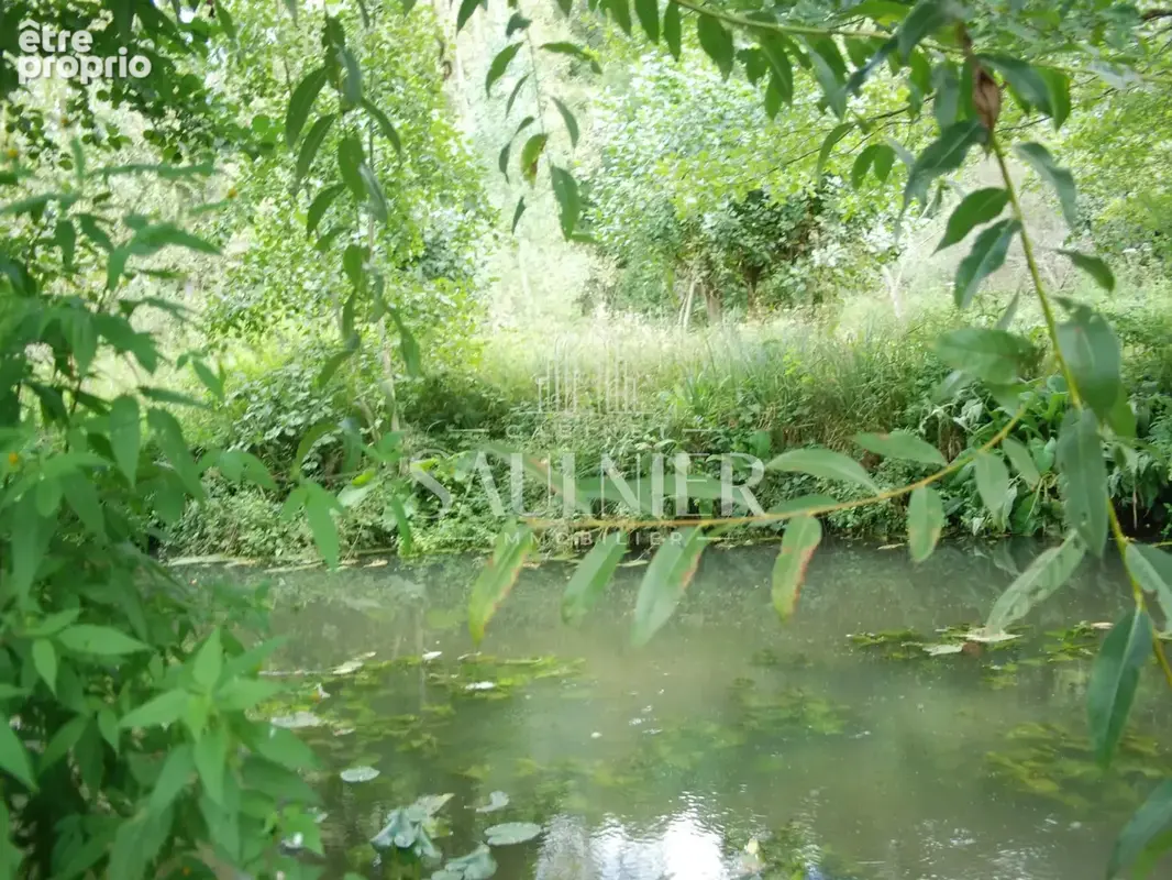 Entre Montrichard et Blois, petit domaine agricole. - photo 14