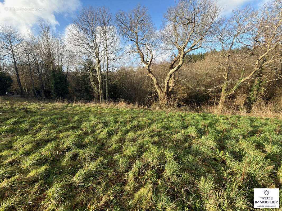 Terrain à SAVENAY