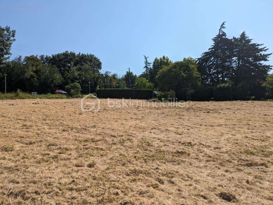 Terrain à LAHITTE