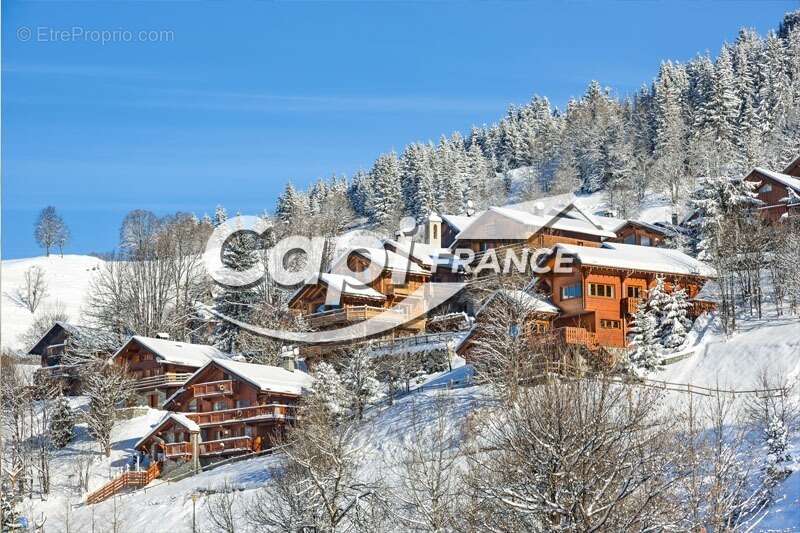 Commerce à PRALOGNAN-LA-VANOISE