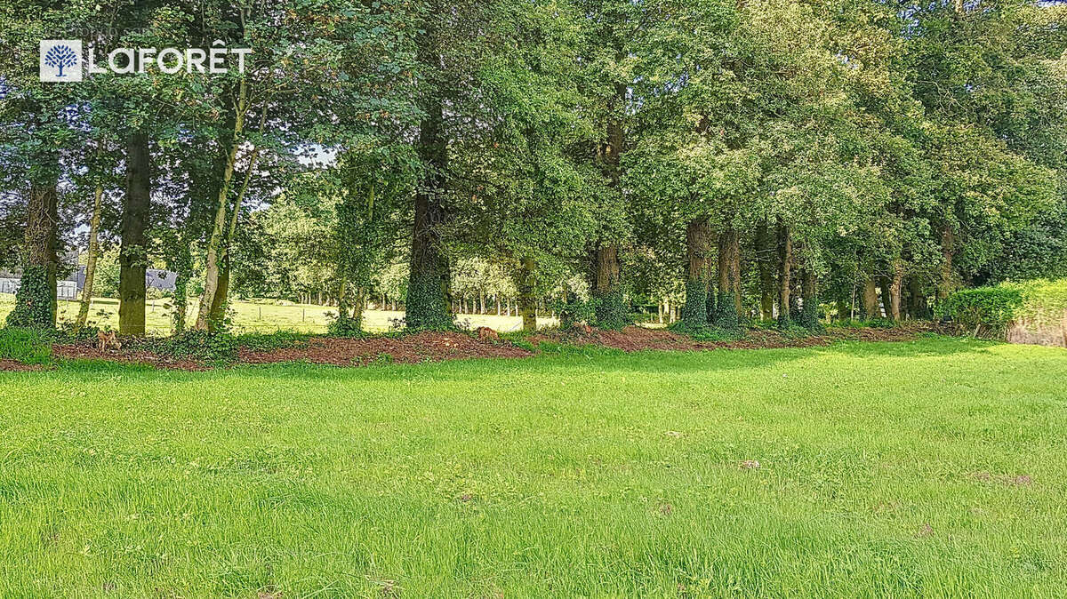 Terrain à FAUVILLE-EN-CAUX