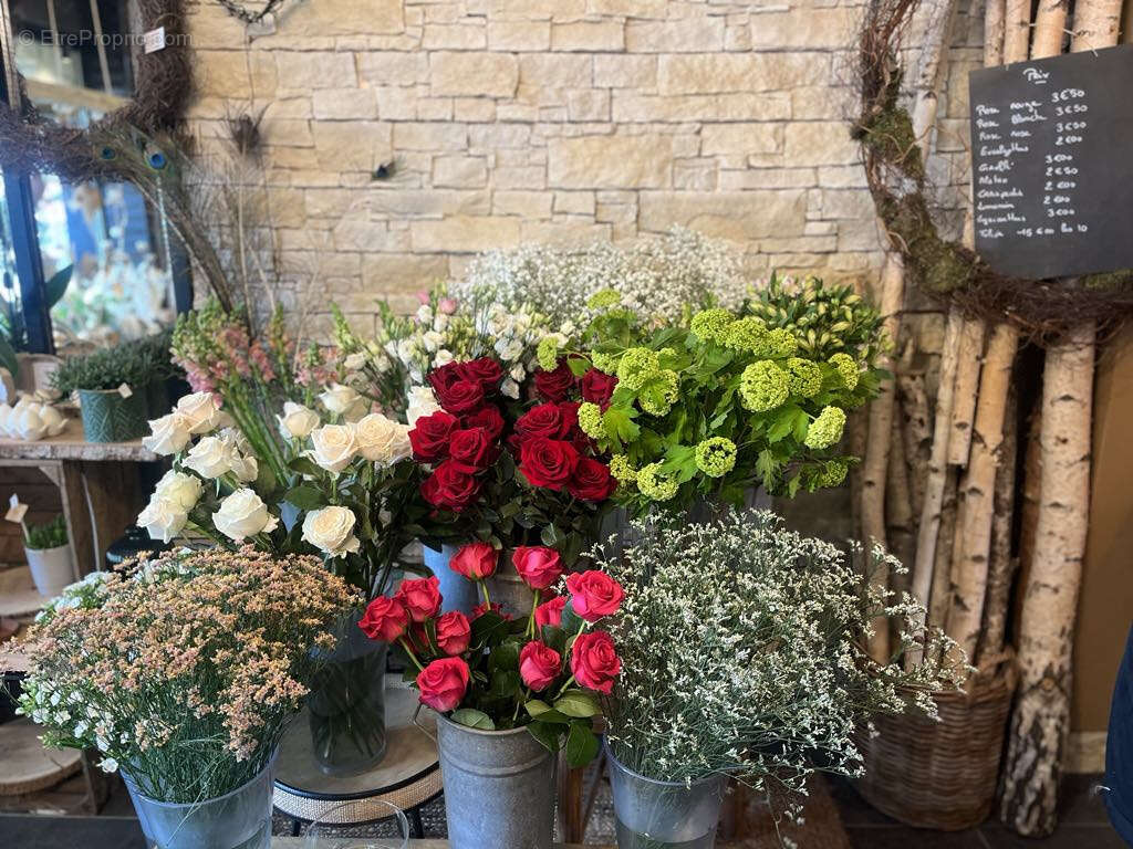 Commerce à LE PORTEL