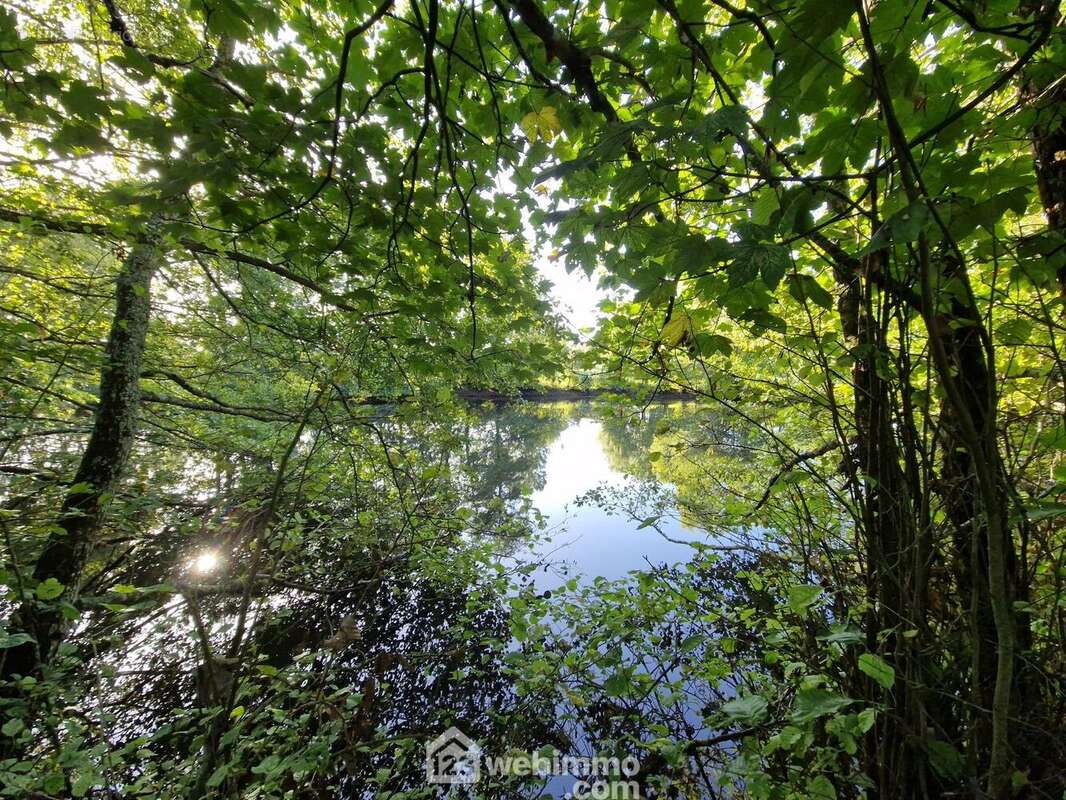 Terrain à NIEUL-LE-DOLENT