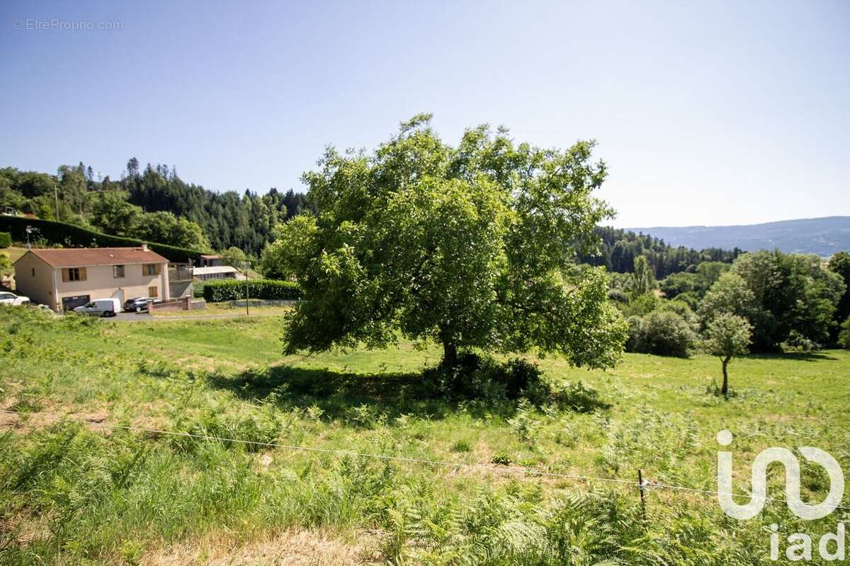 Photo 2 - Terrain à SAINT-MARTIN-DES-OLMES