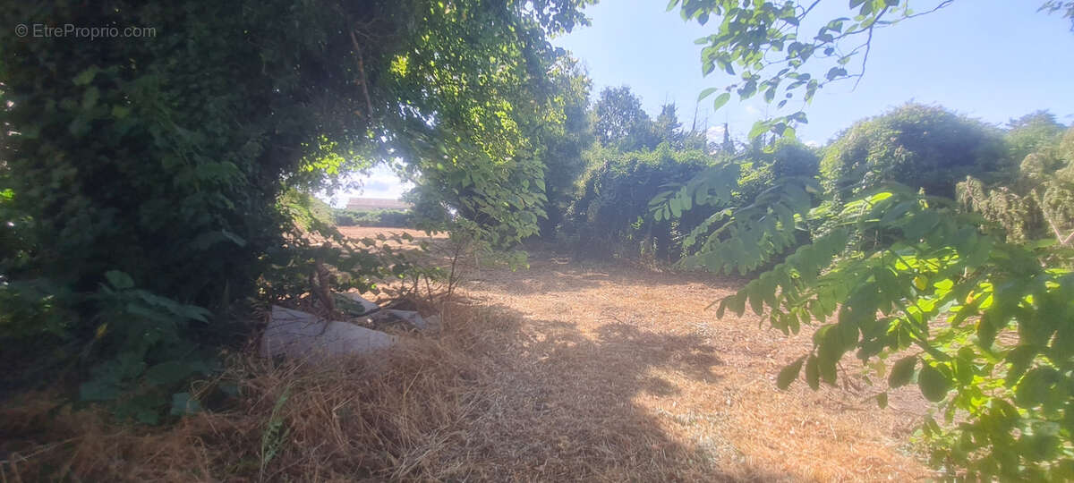 Terrain à SANILHAC-SAGRIES