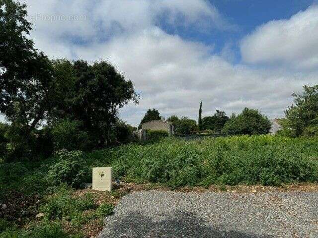 Terrain à SAINT-MEDARD-D&#039;AUNIS