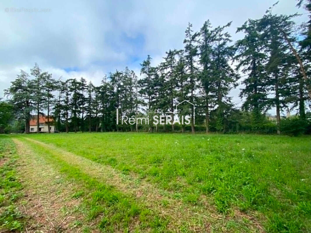 Maison à réhabiliter avec grand terrain et vue dégagée -14260 - photo 15