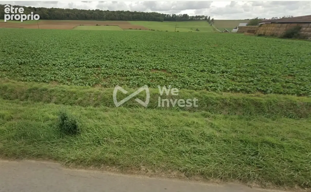 Terrain 1 121 m² à vendre à Doncourt-Les-Longuyon (54620) - photo 5