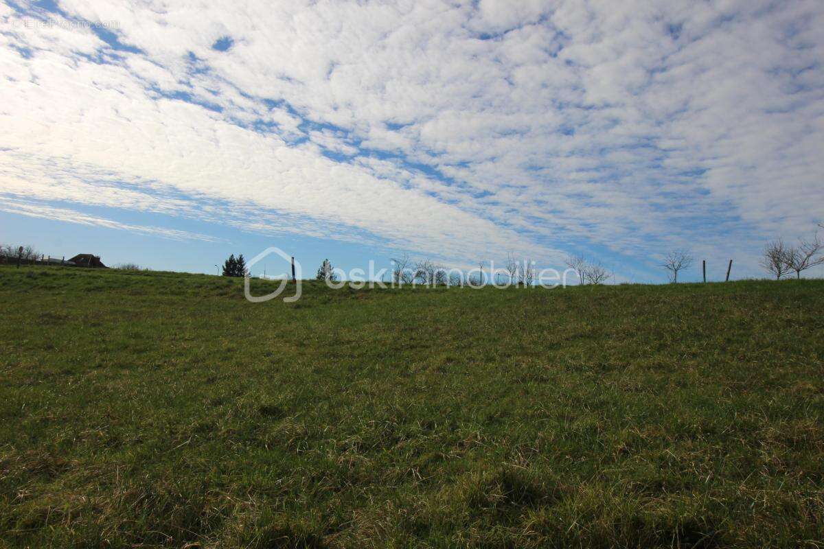 Terrain 1 ha dont étang et 4500 de constructible - photo 8