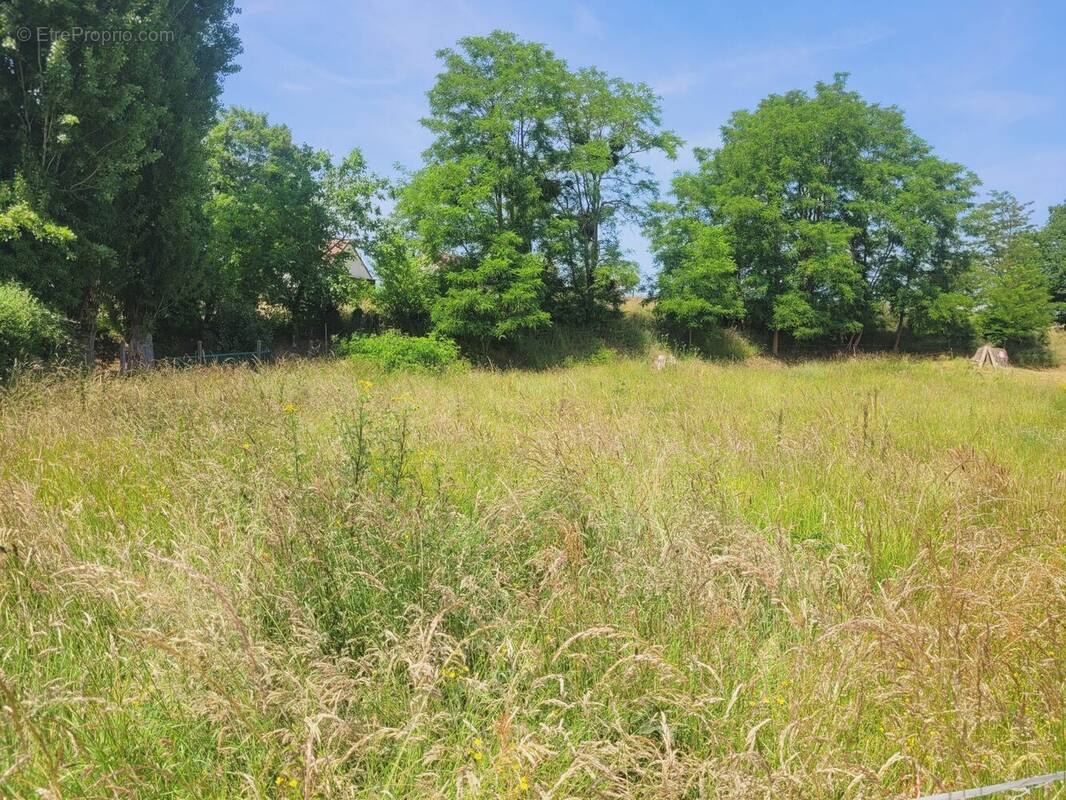 Terrain à LA HAYE-MALHERBE