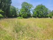 Terrain à LA HAYE-MALHERBE