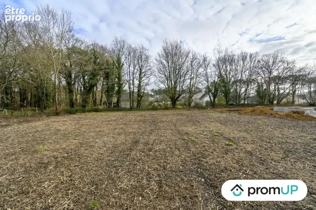 Terrain 1 209 m² à vendre à Ferel (56130) - photo 8