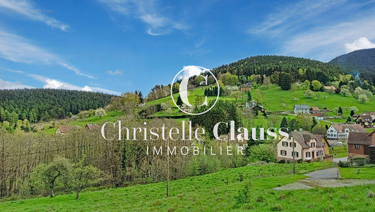 Terrain à WANGENBOURG-ENGENTHAL