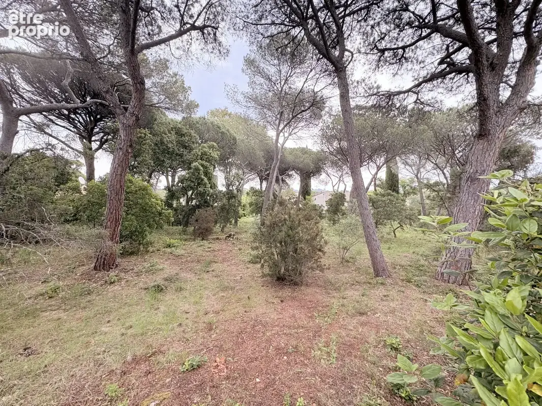 Terrain à SAINT-RAPHAEL