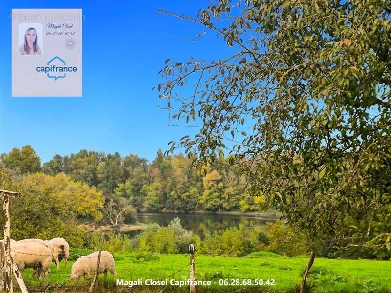 Maison à PIERRE-DE-BRESSE