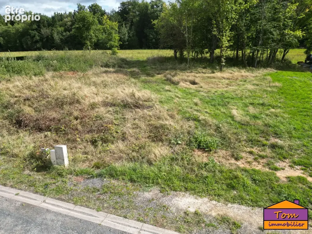 Terrain 1 500 m² à vendre à Baccarat (54120) - photo 4
