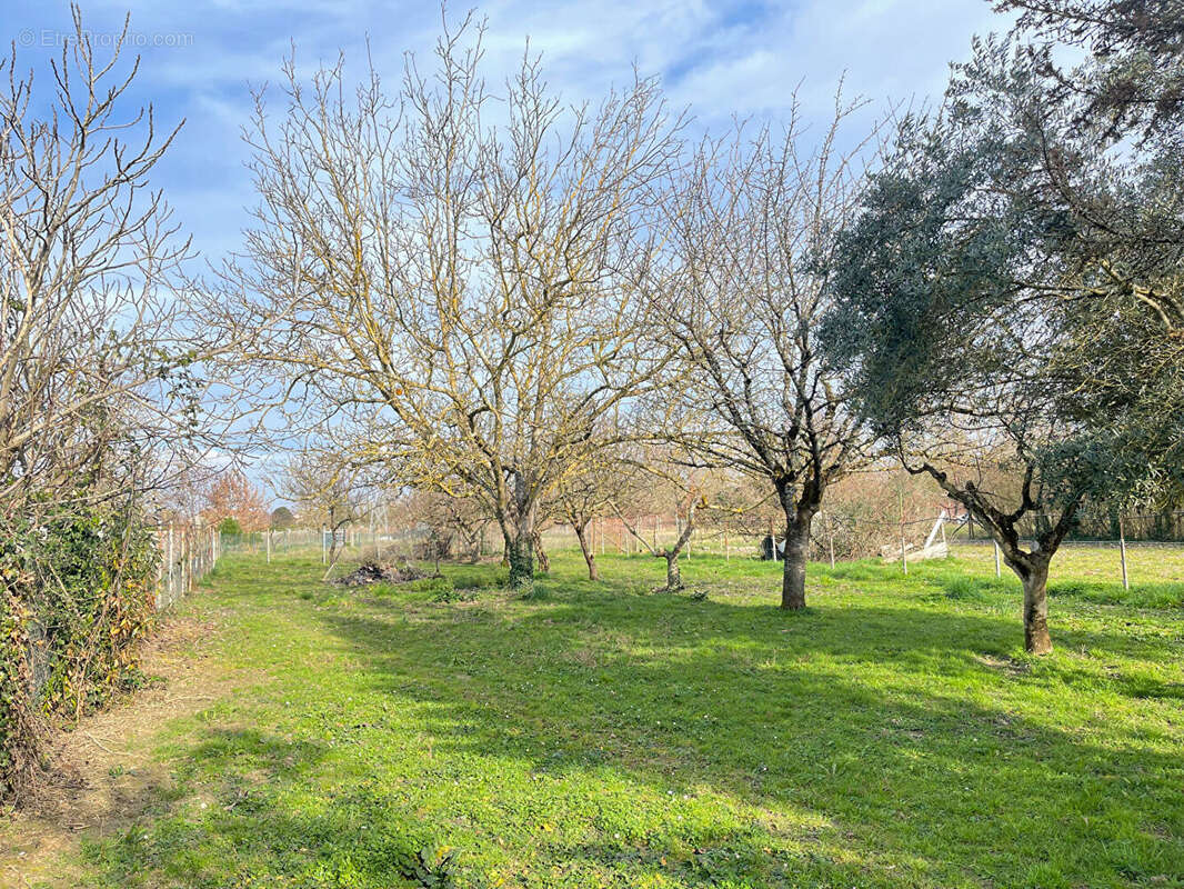 Maison à CASTELSARRASIN