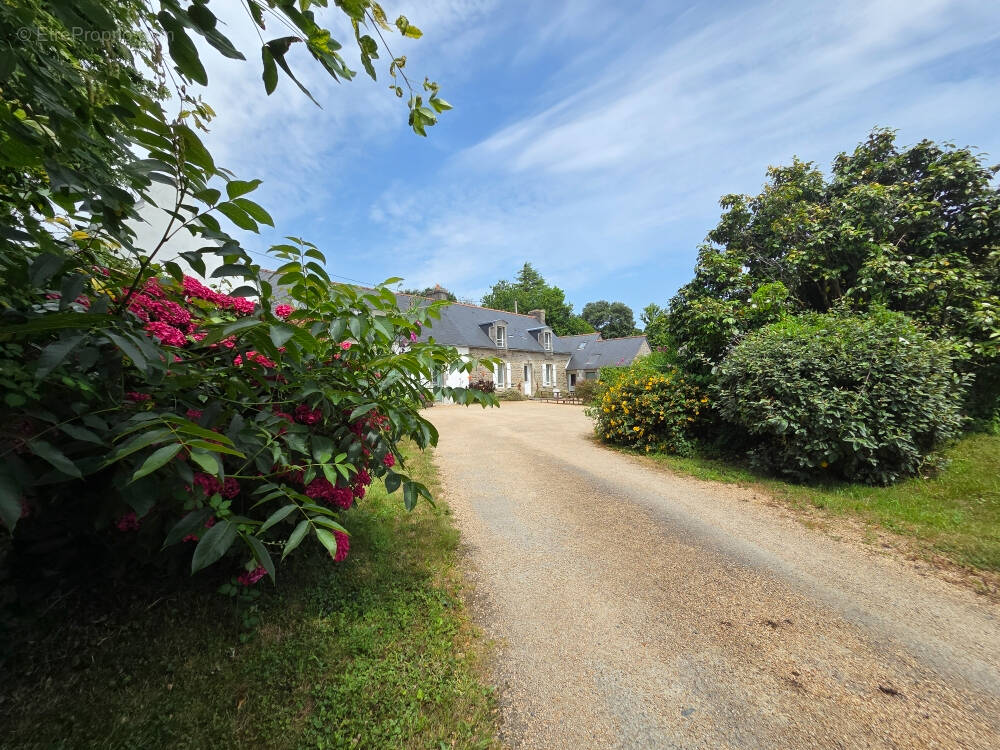 Maison à PLONEOUR-LANVERN