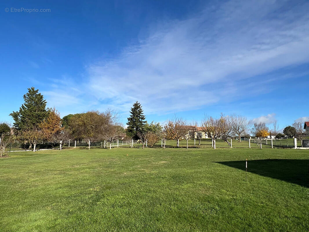 Terrain à SAINT-JEAN