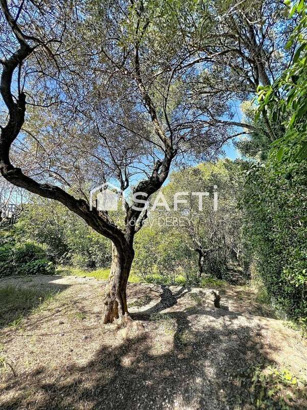 Photo 3 - Maison à SANARY-SUR-MER