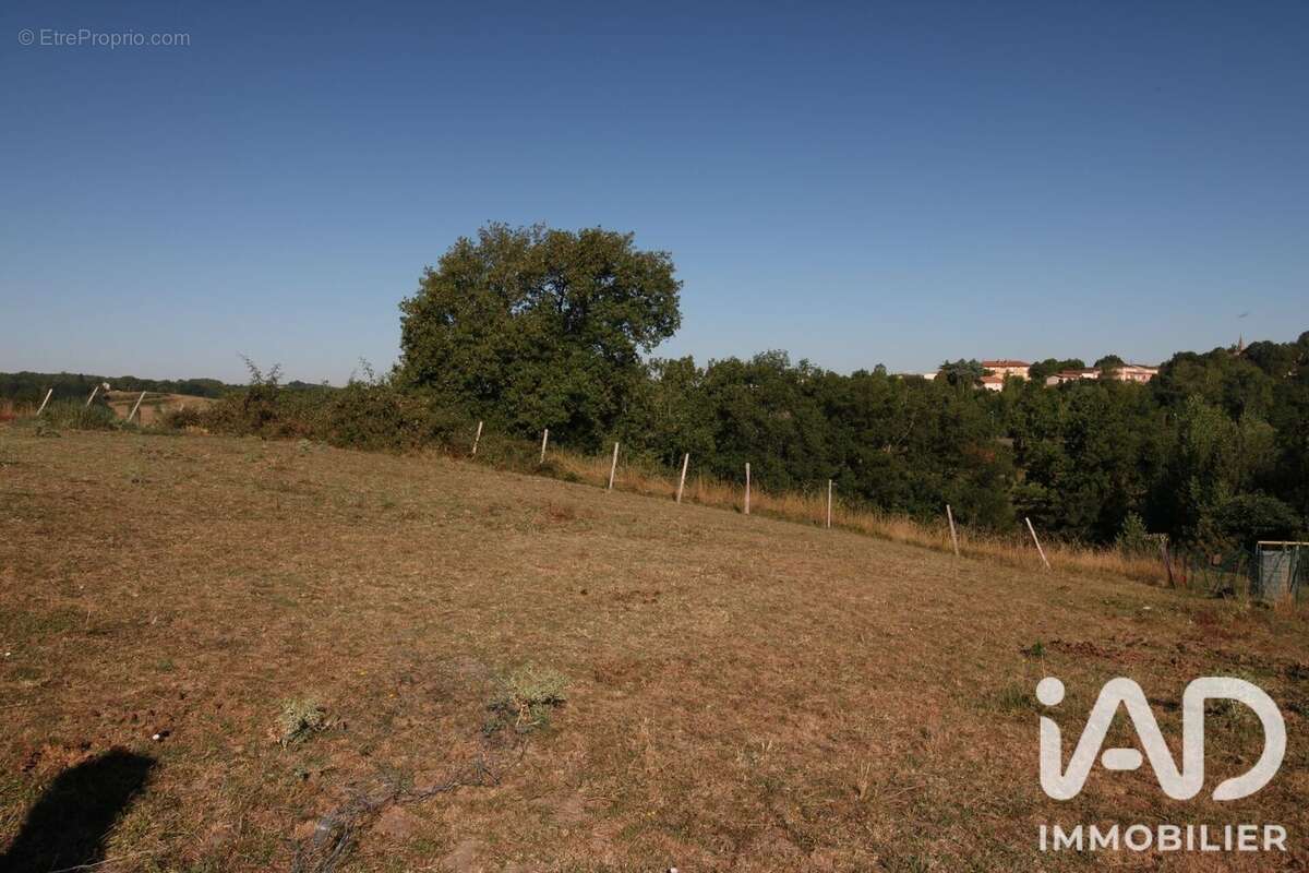 Terrain 1240 m² à Monclar-De-Quercy  - photo 6