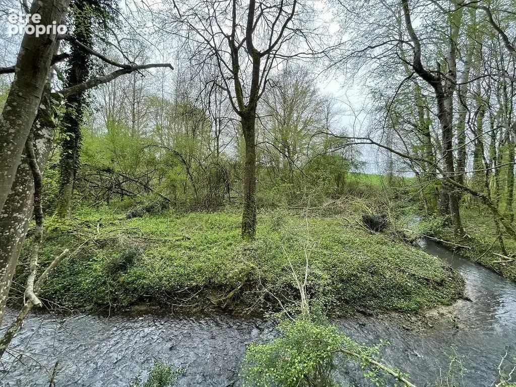 Terrain - 5440m ² - photo 2