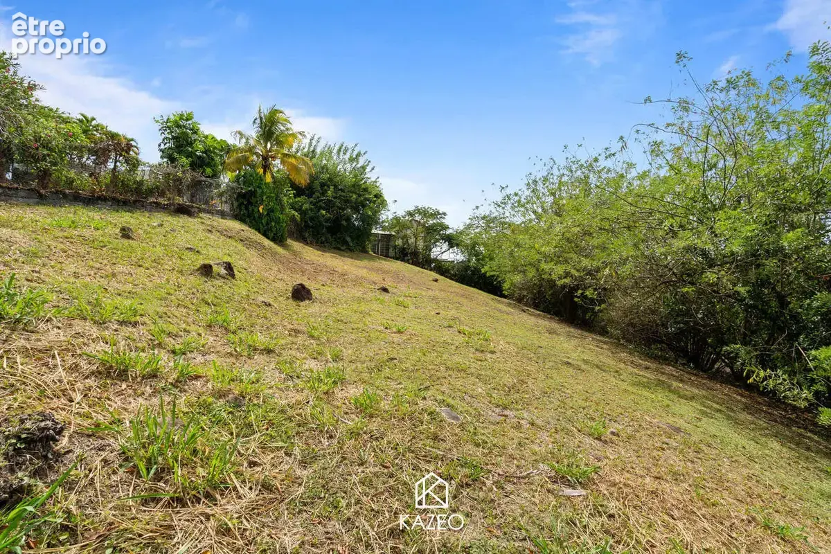 Terrain 1 076 m² à vendre à Schoelcher (97233) - photo 4