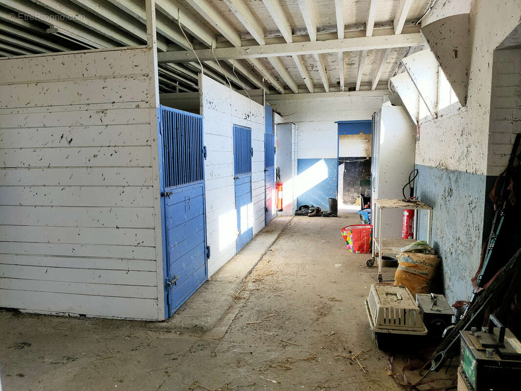 Propriété équestre avec 13 hectares - photo 21