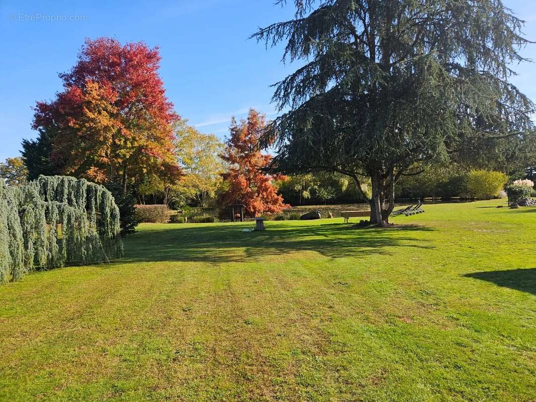 Maison à SAINT-VIATRE