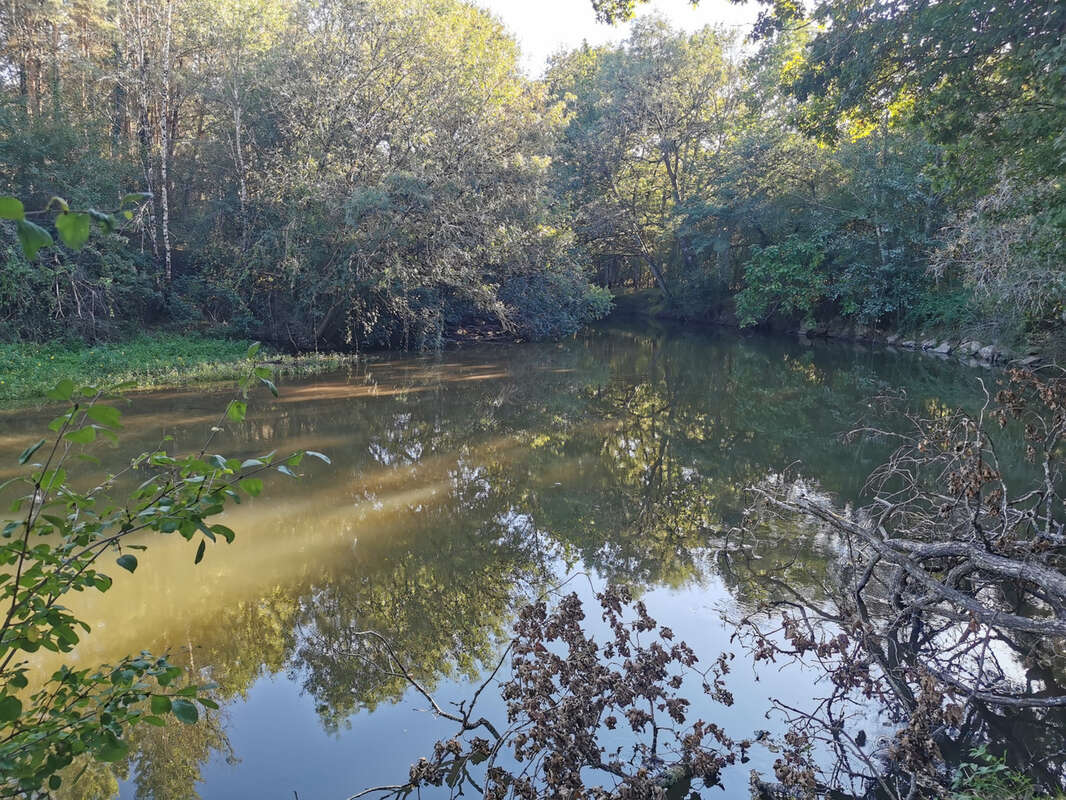 Maison à ROMORANTIN-LANTHENAY