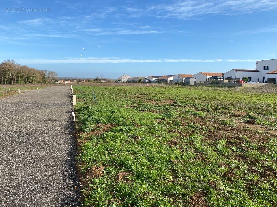 Terrain à PORT-DES-BARQUES