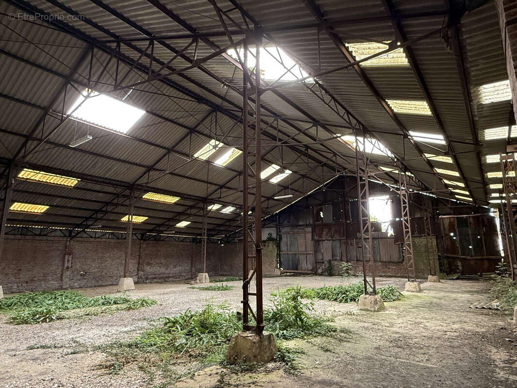 Propriété avec 2 hectares et hangar - photo 20