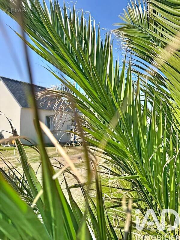 Photo 1 - Maison à PENMARCH