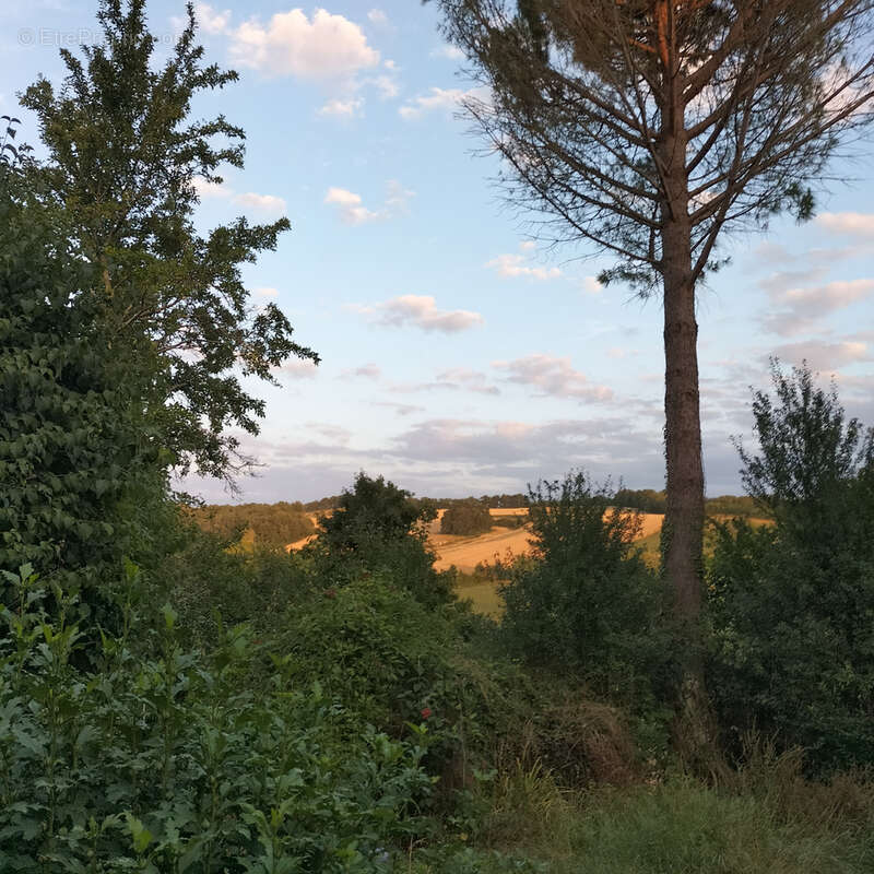 maison de campagne sur 4ha , 5 min de Simorre - photo 5