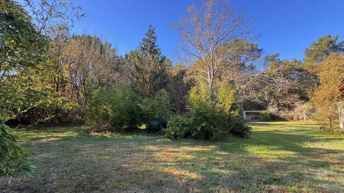 Maison à LEGE-CAP-FERRET
