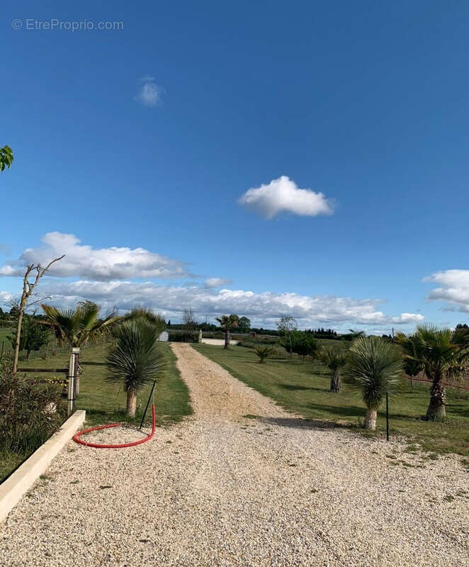 Terrain à MARSILLARGUES