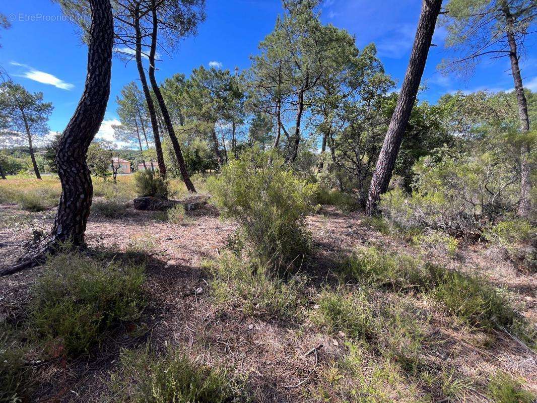 Terrain à LES ASSIONS