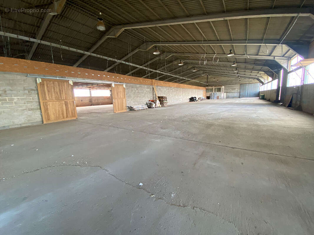 Commerce à LE LUART