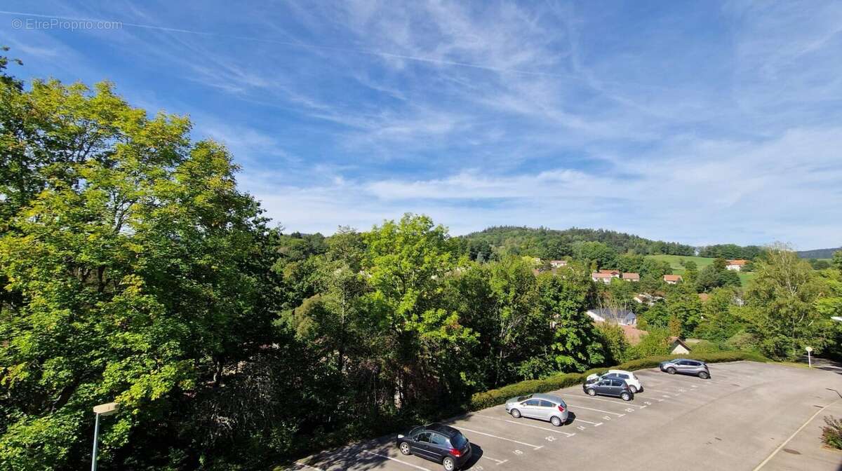 Appartement à SAINT-DIE-DES-VOSGES