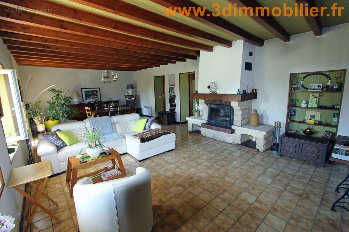 SEJOUR - SALON (42 m²) - Maison à SELLIERES