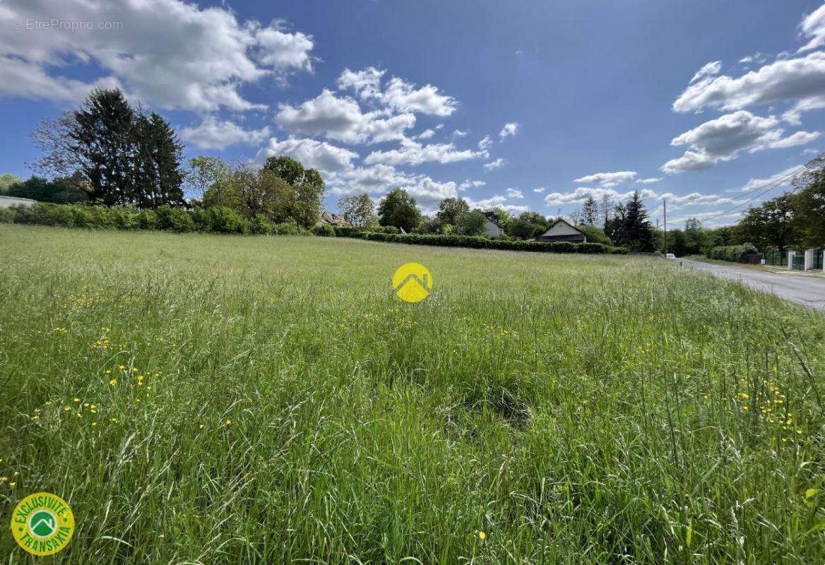 Terrain à CHATEAUNEUF-SUR-CHER