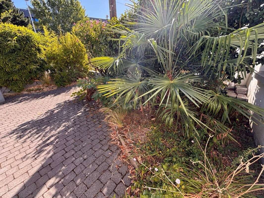Maison 5 pièces avec Jardin et dépendance - photo 2