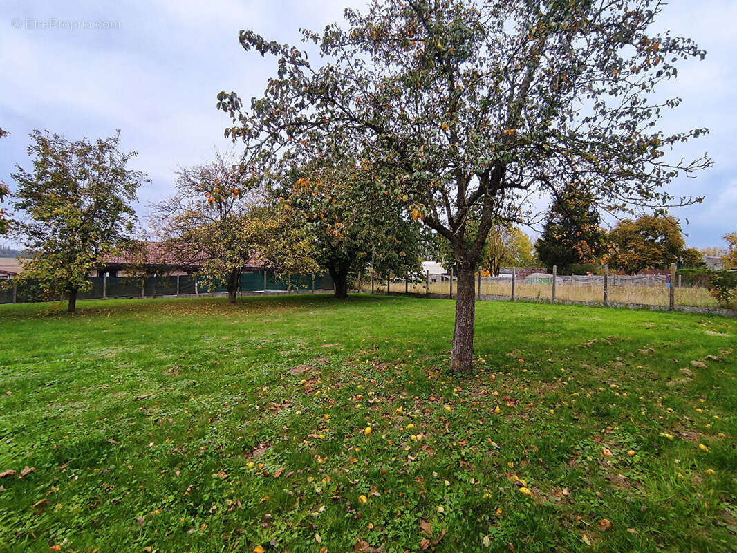 Commerce à SEBONCOURT