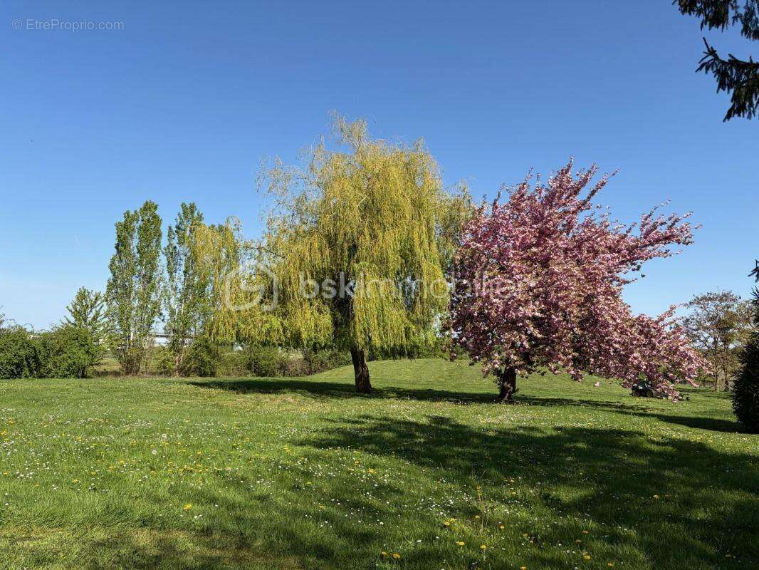 Appartement à NOZAY